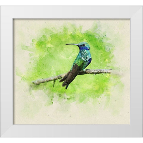 Bird 6 Watercolor White Modern Wood Framed Art Print by Lee, Rachel