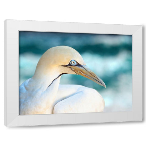 Bird 60 White Modern Wood Framed Art Print by Lee, Rachel