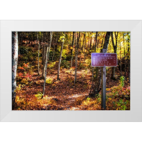 Boyd Gap Trail White Modern Wood Framed Art Print by Lee, Rachel