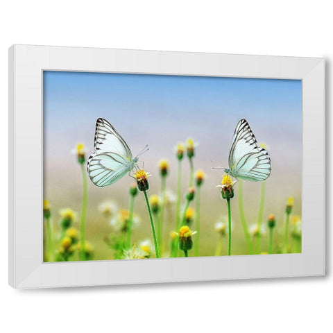 Butterfly 10 White Modern Wood Framed Art Print by Lee, Rachel