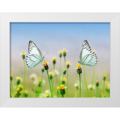 Butterfly 10 White Modern Wood Framed Art Print by Lee, Rachel