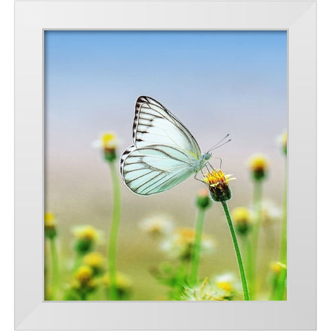Butterfly 10 Dyptych Panel 1 White Modern Wood Framed Art Print by Lee, Rachel
