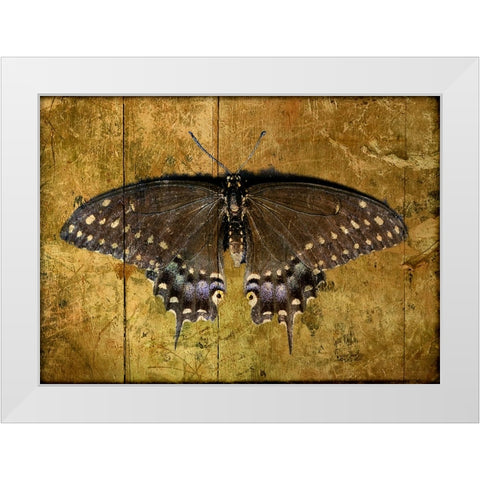 Butterfly 2 White Modern Wood Framed Art Print by Lee, Rachel