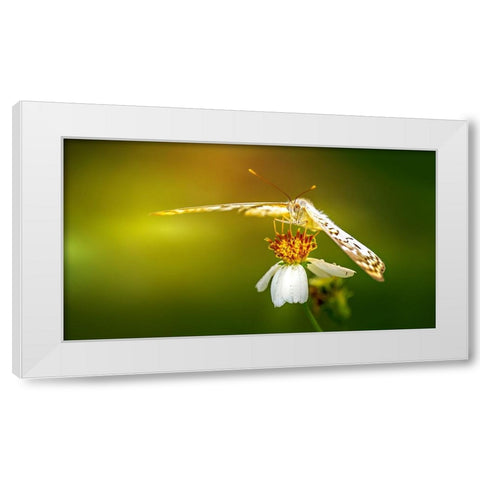 Butterfly 9 White Modern Wood Framed Art Print by Lee, Rachel