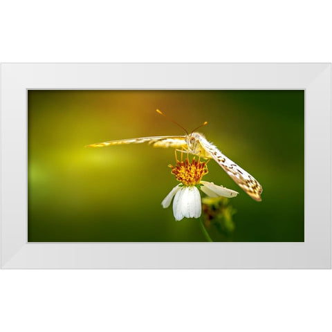 Butterfly 9 White Modern Wood Framed Art Print by Lee, Rachel