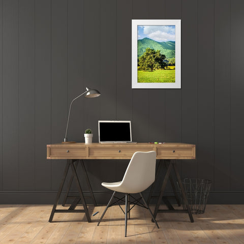 Cades Cove Tree White Modern Wood Framed Art Print by Lee, Rachel