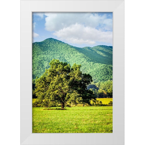 Cades Cove Tree White Modern Wood Framed Art Print by Lee, Rachel