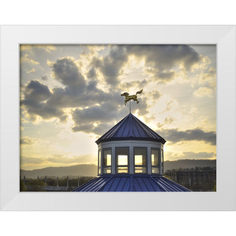 Carousel Last Light White Modern Wood Framed Art Print by Lee, Rachel