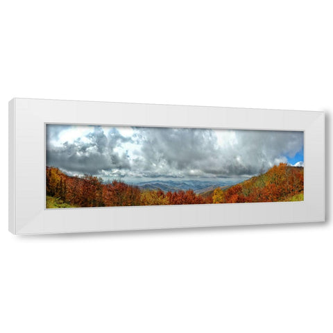 Cherohala Pano White Modern Wood Framed Art Print by Lee, Rachel