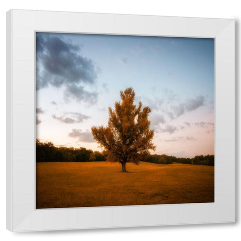 Chickamauga 15 White Modern Wood Framed Art Print by Lee, Rachel