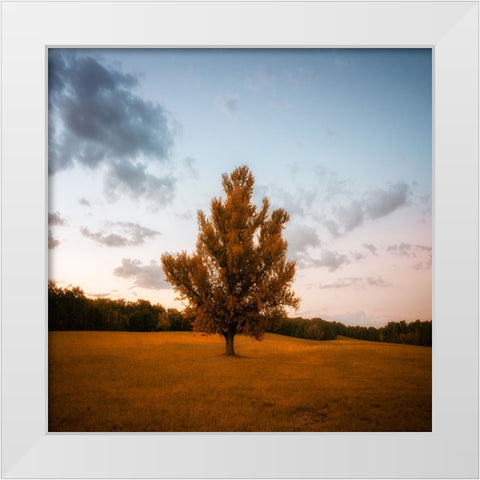 Chickamauga 15 White Modern Wood Framed Art Print by Lee, Rachel