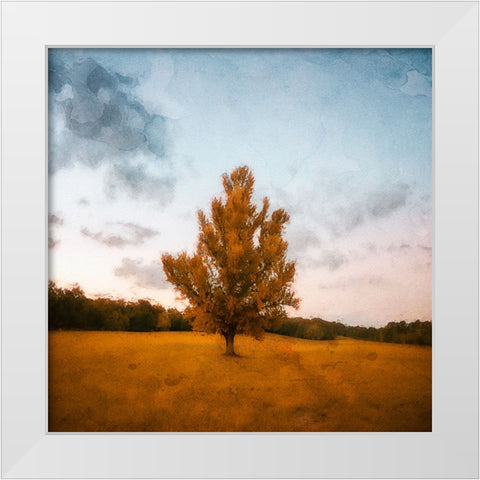 Chickamauga 15 Oil Paint White Modern Wood Framed Art Print by Lee, Rachel