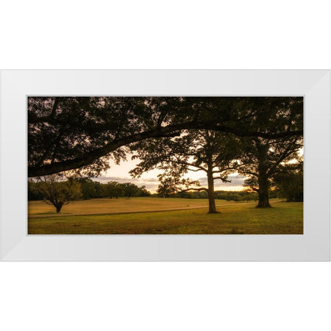 Chickamauga 16 White Modern Wood Framed Art Print by Lee, Rachel