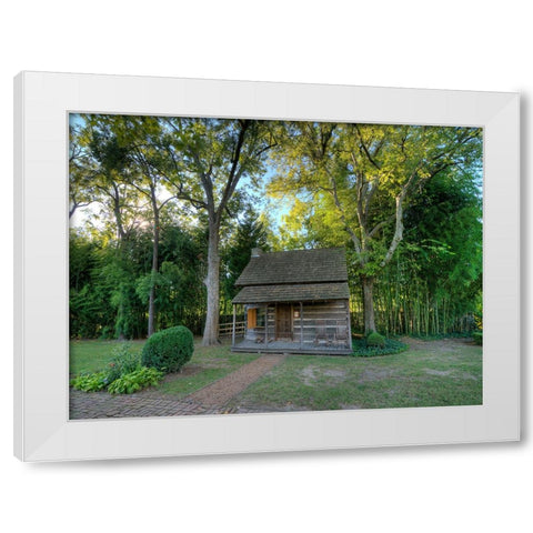 Chickamauga 21 White Modern Wood Framed Art Print by Lee, Rachel