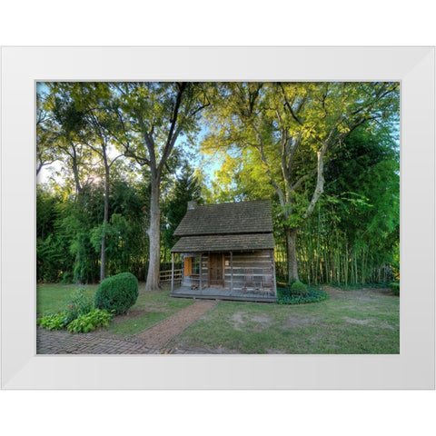 Chickamauga 21 White Modern Wood Framed Art Print by Lee, Rachel