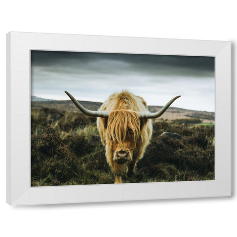 Cow 1 White Modern Wood Framed Art Print by Lee, Rachel