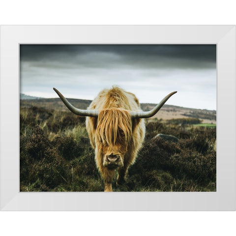 Cow 1 White Modern Wood Framed Art Print by Lee, Rachel
