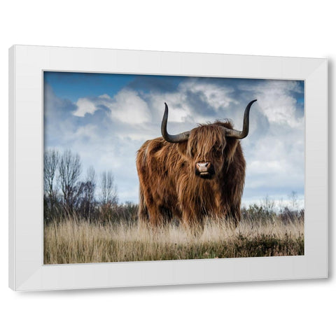 Cow 2 White Modern Wood Framed Art Print by Lee, Rachel