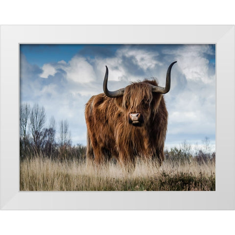 Cow 2 White Modern Wood Framed Art Print by Lee, Rachel
