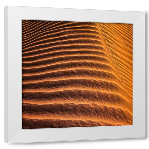 Desert 3 White Modern Wood Framed Art Print by Lee, Rachel