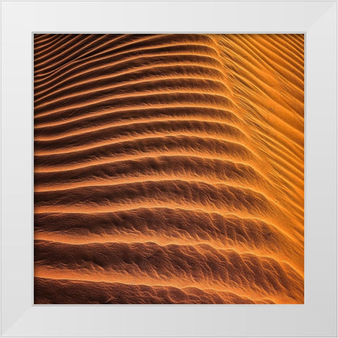 Desert 3 White Modern Wood Framed Art Print by Lee, Rachel