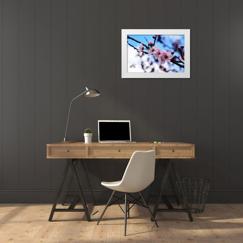 Dogwood Spring White Modern Wood Framed Art Print by Lee, Rachel