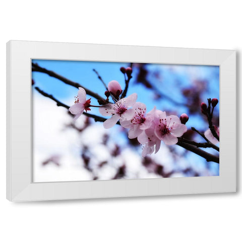 Dogwood Spring White Modern Wood Framed Art Print by Lee, Rachel