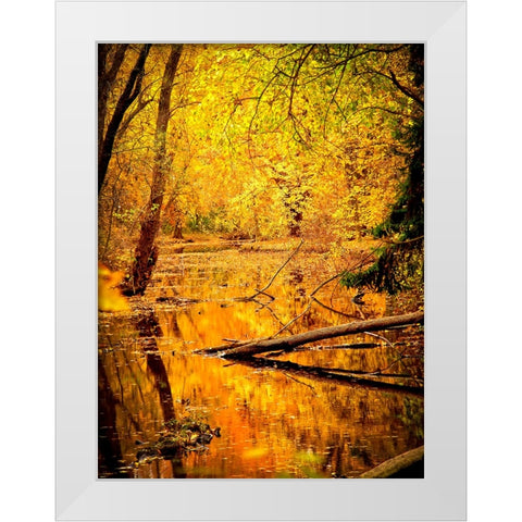 Fall Stream White Modern Wood Framed Art Print by Lee, Rachel