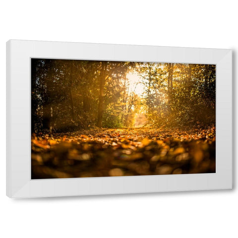 Fall Trees 5 White Modern Wood Framed Art Print by Lee, Rachel