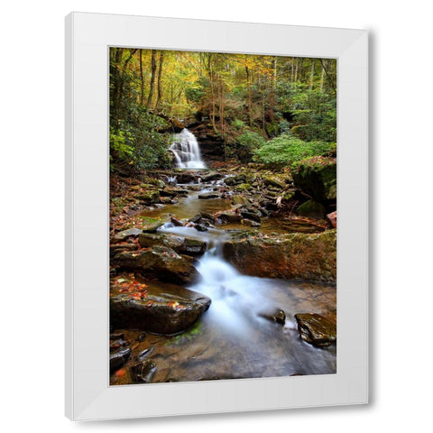 Falls 1 White Modern Wood Framed Art Print by Lee, Rachel