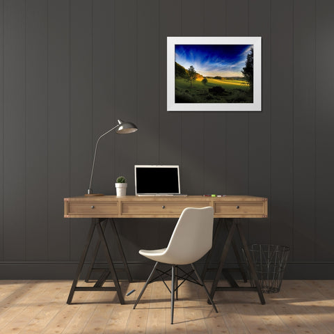Field 12 White Modern Wood Framed Art Print by Lee, Rachel