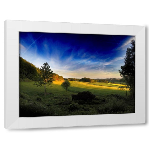 Field 12 White Modern Wood Framed Art Print by Lee, Rachel