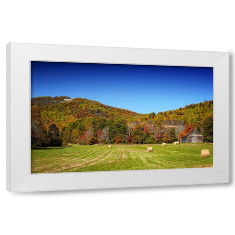 Field 13 White Modern Wood Framed Art Print by Lee, Rachel