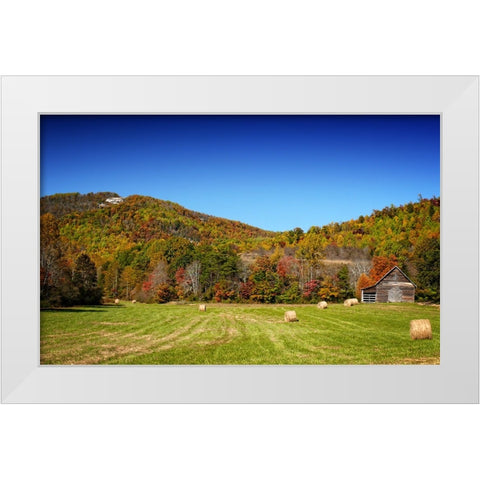Field 13 White Modern Wood Framed Art Print by Lee, Rachel