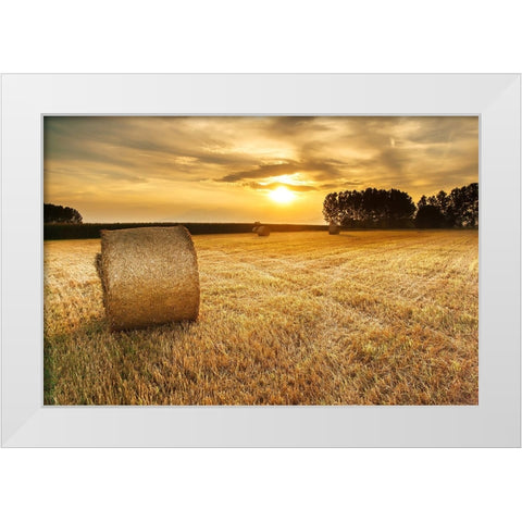 Field 14 White Modern Wood Framed Art Print by Lee, Rachel