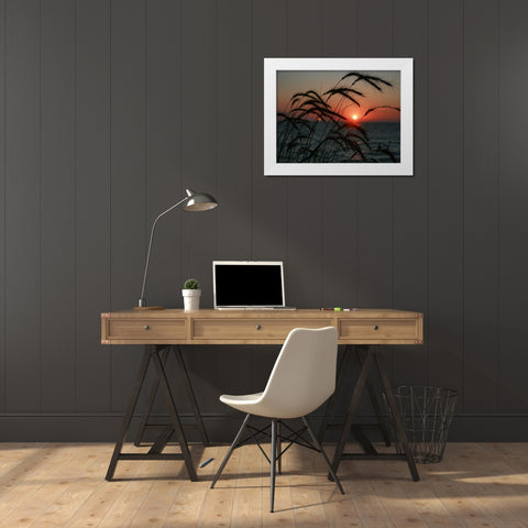 Field 18 White Modern Wood Framed Art Print by Lee, Rachel