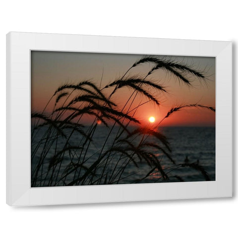 Field 18 White Modern Wood Framed Art Print by Lee, Rachel