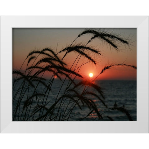 Field 18 White Modern Wood Framed Art Print by Lee, Rachel