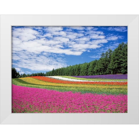 Field 19 White Modern Wood Framed Art Print by Lee, Rachel