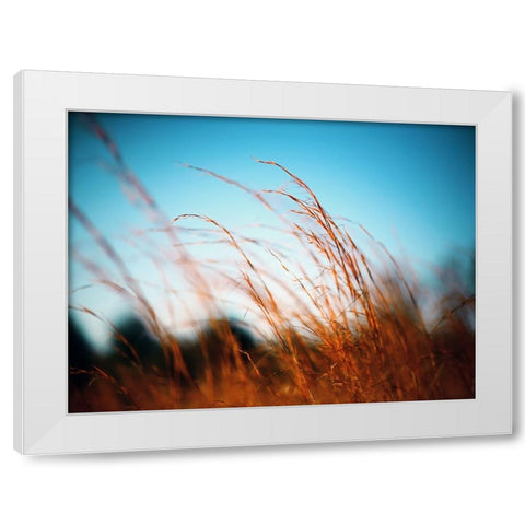 Field 20 White Modern Wood Framed Art Print by Lee, Rachel