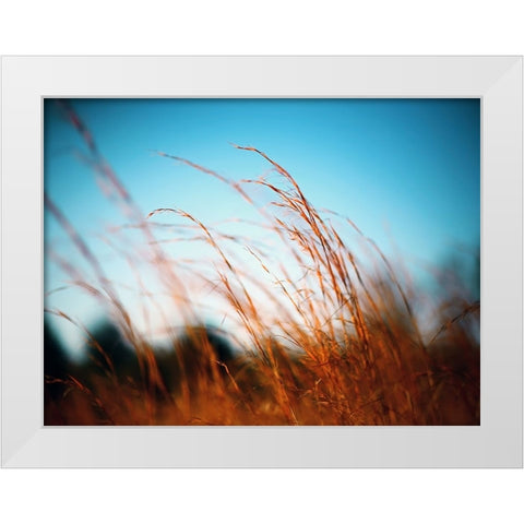 Field 20 White Modern Wood Framed Art Print by Lee, Rachel
