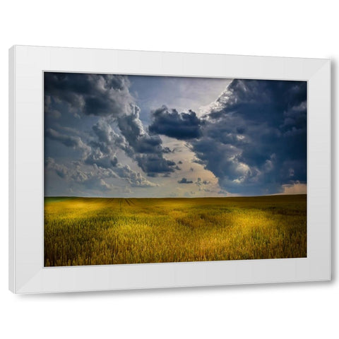 Field 21 White Modern Wood Framed Art Print by Lee, Rachel