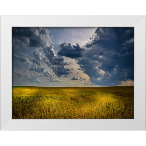 Field 21 White Modern Wood Framed Art Print by Lee, Rachel