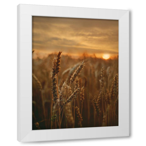 Field 24 White Modern Wood Framed Art Print by Lee, Rachel