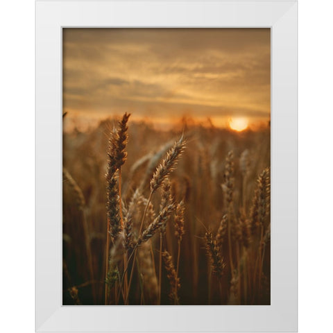 Field 24 White Modern Wood Framed Art Print by Lee, Rachel