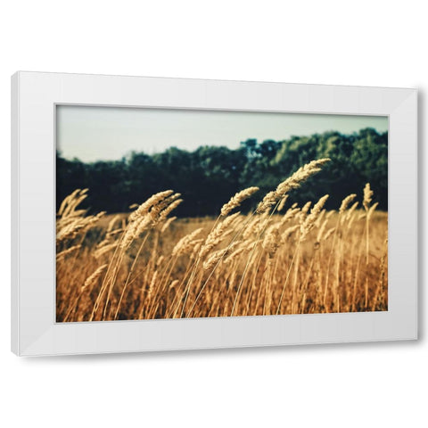 Field 4 White Modern Wood Framed Art Print by Lee, Rachel