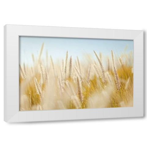 Field 6 White Modern Wood Framed Art Print by Lee, Rachel