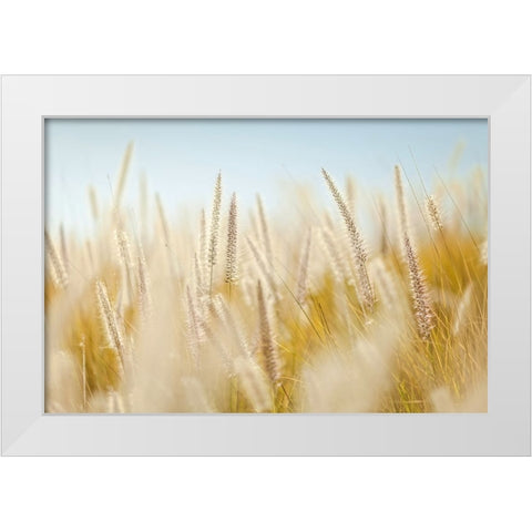 Field 6 White Modern Wood Framed Art Print by Lee, Rachel
