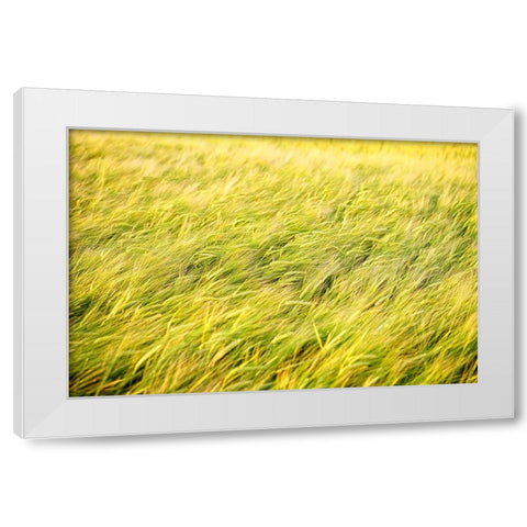 Field 8 White Modern Wood Framed Art Print by Lee, Rachel