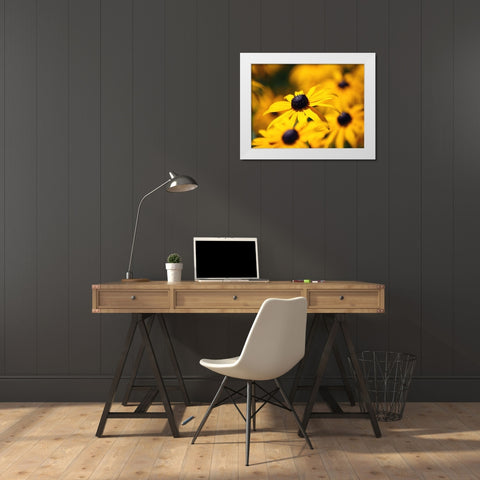 Flower 46 White Modern Wood Framed Art Print by Lee, Rachel